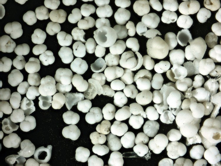 Mikroskop Delta Optical BioLight 100 biały