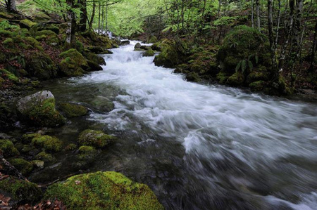 COKIN Z007 Z-PRO filtr IR do fotografii w podczerwieni