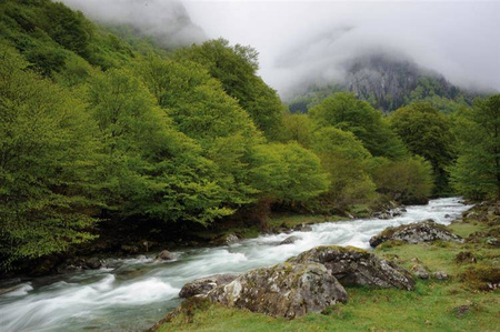 COKIN P120 połówkowy szary ND3,3