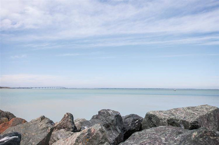 COKIN Z125 Z-PRO połówkowy tabaczkowy T2