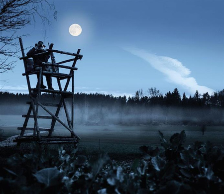 Lornetka Steiner Nighthunter 8x56