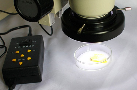 Delta Optical oświetlacz diodowy LED 64 czterostrefowy