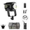 Godox Video LED light VL300