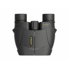 Lornetka Leupold BX-1 Rogue 8x25