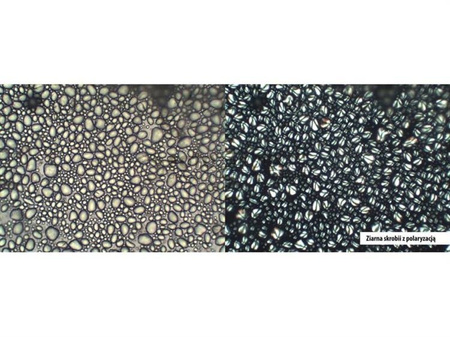 Zestaw do prostej polaryzacji dla DO Evolution 200 / DO Evolution 300