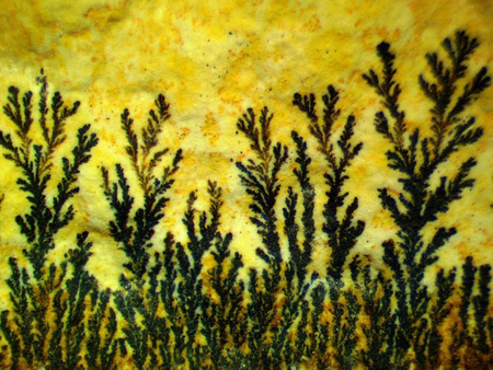 Mikroskop stereoskopowy Delta Optical IPOS-810 z powiększonym statywem