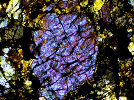 Mikroskop Delta Optical Evolution 100 Trino Plan LED