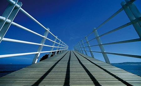 COKIN P123L niebieski połówkowy