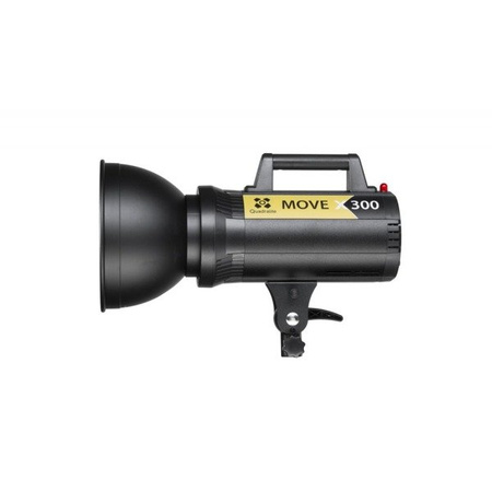 Quadralite Move X 300