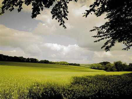 COKIN P125L połówkowy tabaczkowy wersja "light"