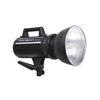 Godox GS300II Studio Flash