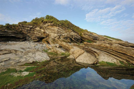 COKIN P121L połówkowy szary ND2